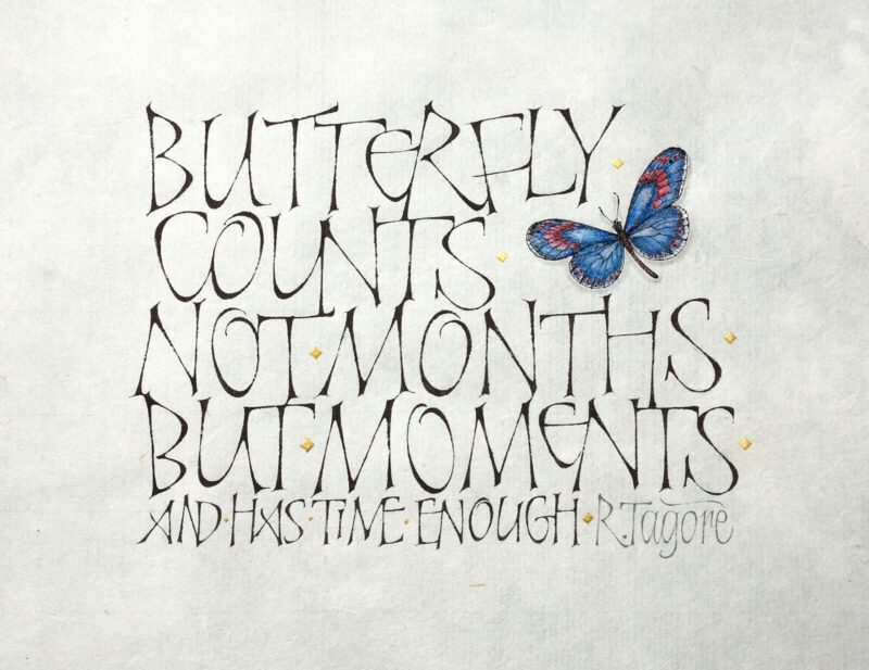Butterfly Counts - Yukimi Annand