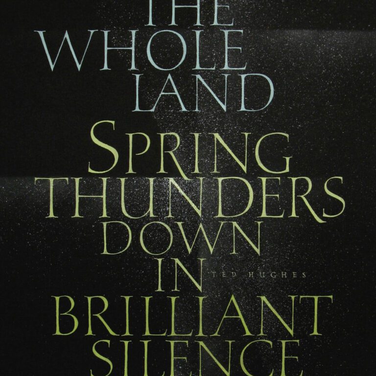Spring Thunders Down - Yukimi Annand