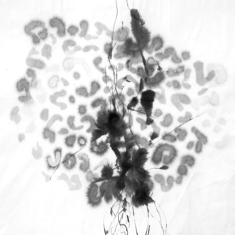 Cells - Yukimi Annand